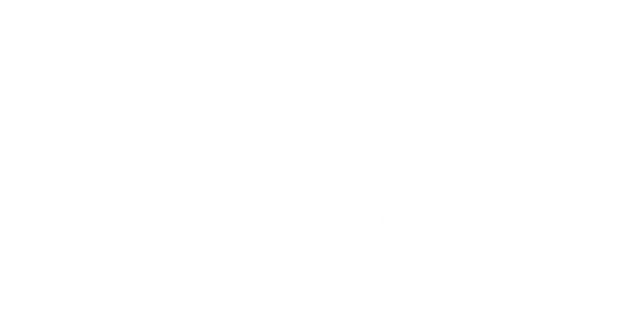 SecoShine logo